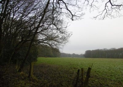 Hulton Park